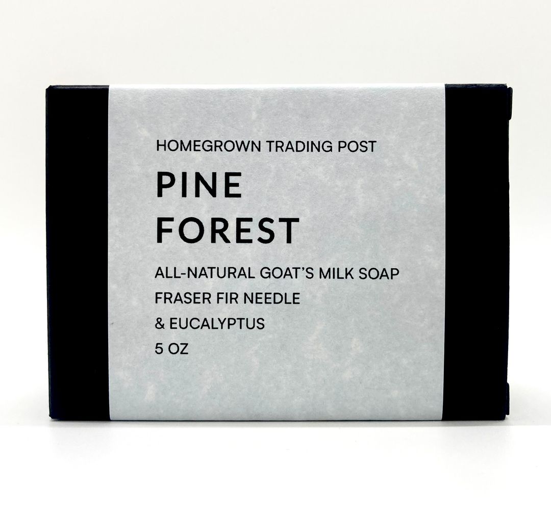 Pine Forest