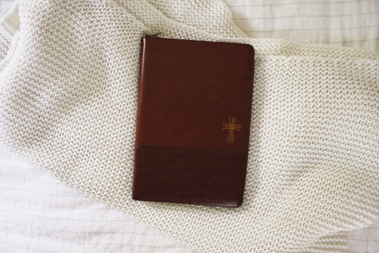 Men's Thinline Large Print NIV Bible | Leathersoft Zip