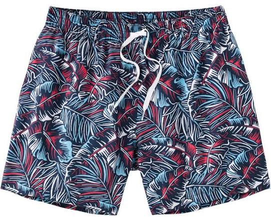 The Bahamians 5.5" Classic Swim Trunk
