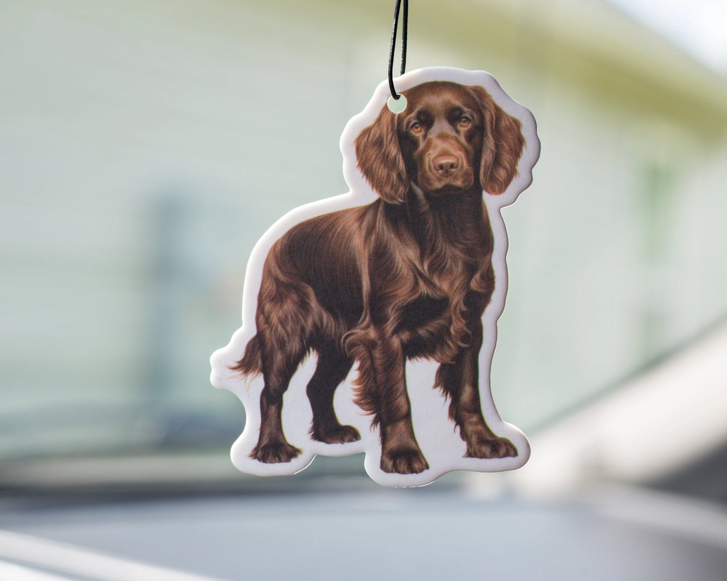 Boykin Air Freshener - Black Ice