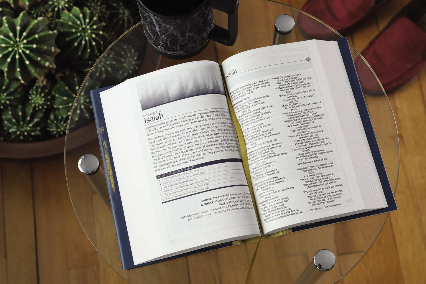 Men's Hardcover NIV Devotional Bible