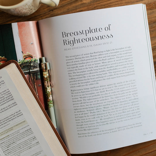 Stand Firm | Armor of God Study