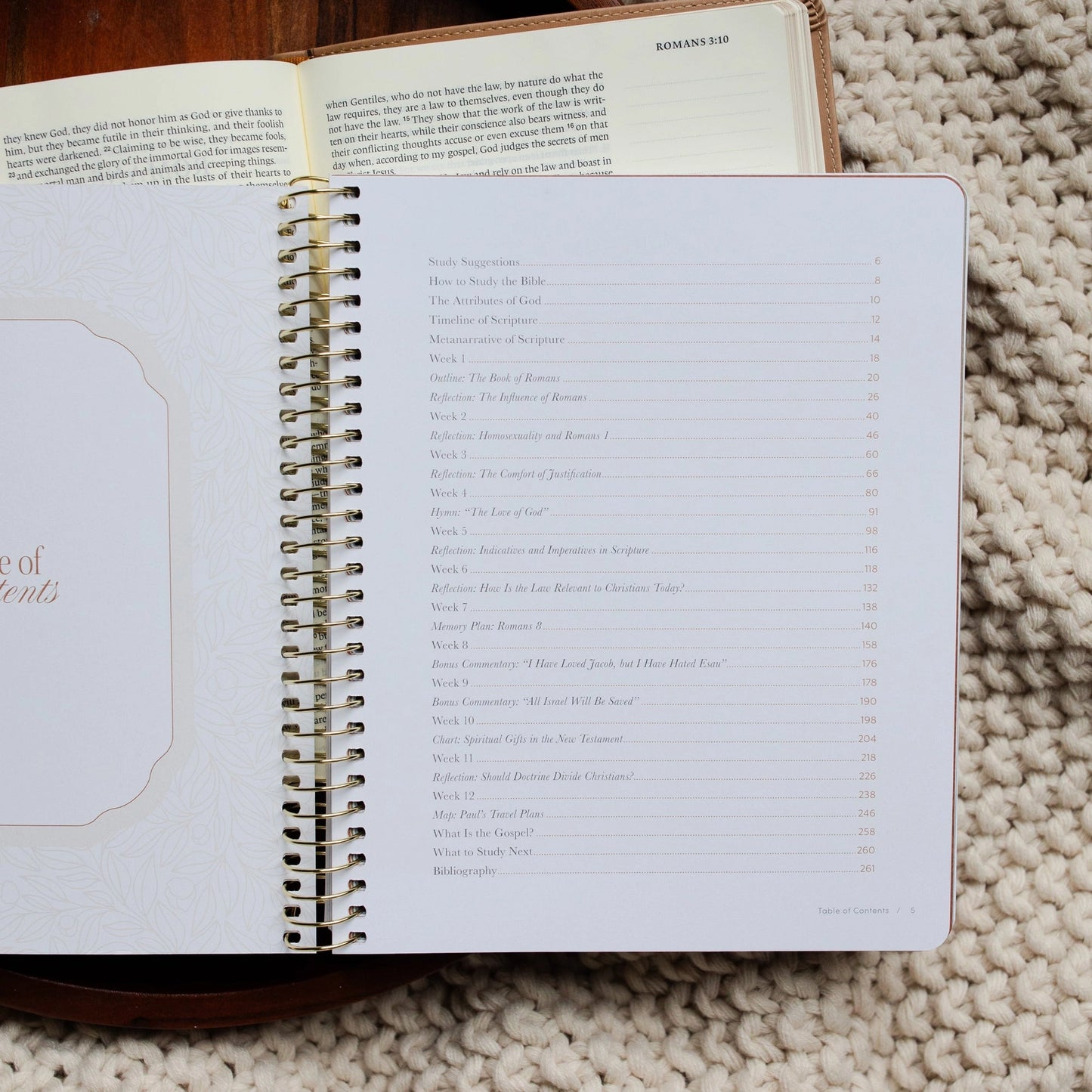 In Christ Alone | A Study on the Book of Romans