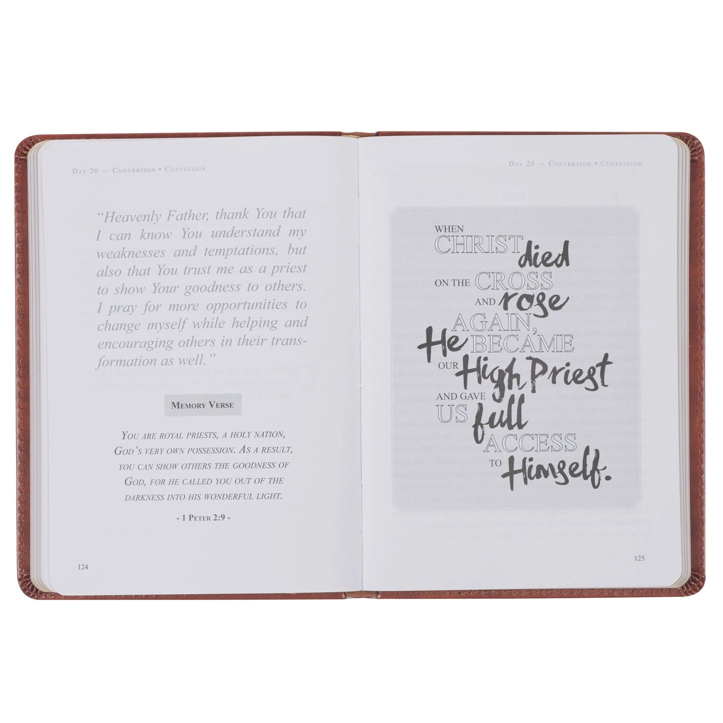 The Sword and Shield | Robert Noland