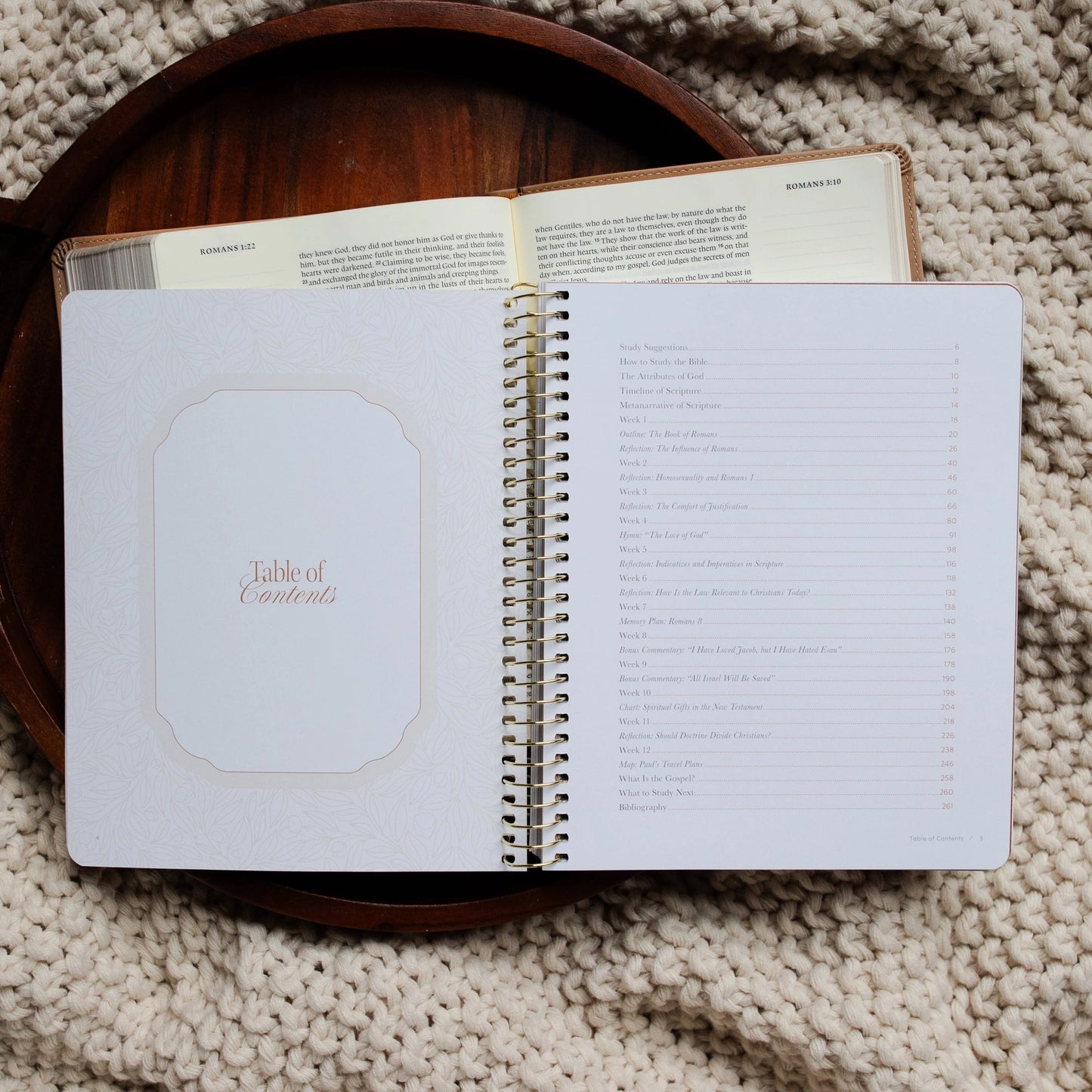 In Christ Alone | A Study on the Book of Romans