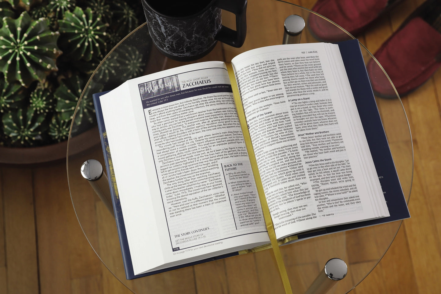 Men's Hardcover NIV Devotional Bible