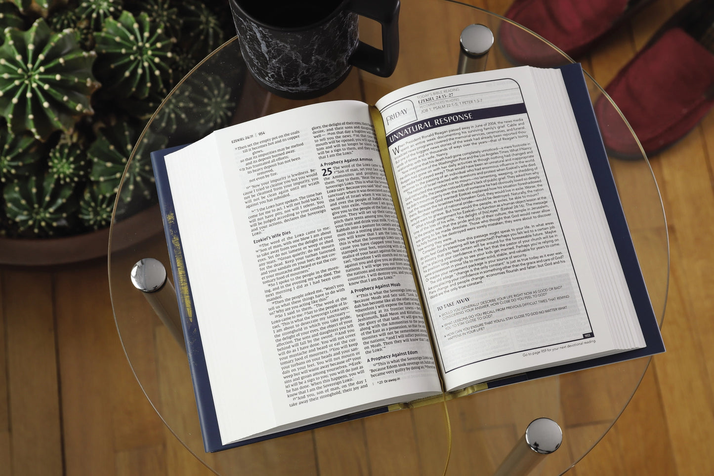 Men's Hardcover NIV Devotional Bible