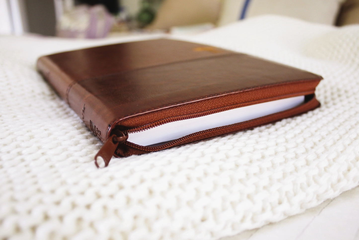 Men's Thinline Large Print NIV Bible | Leathersoft Zip