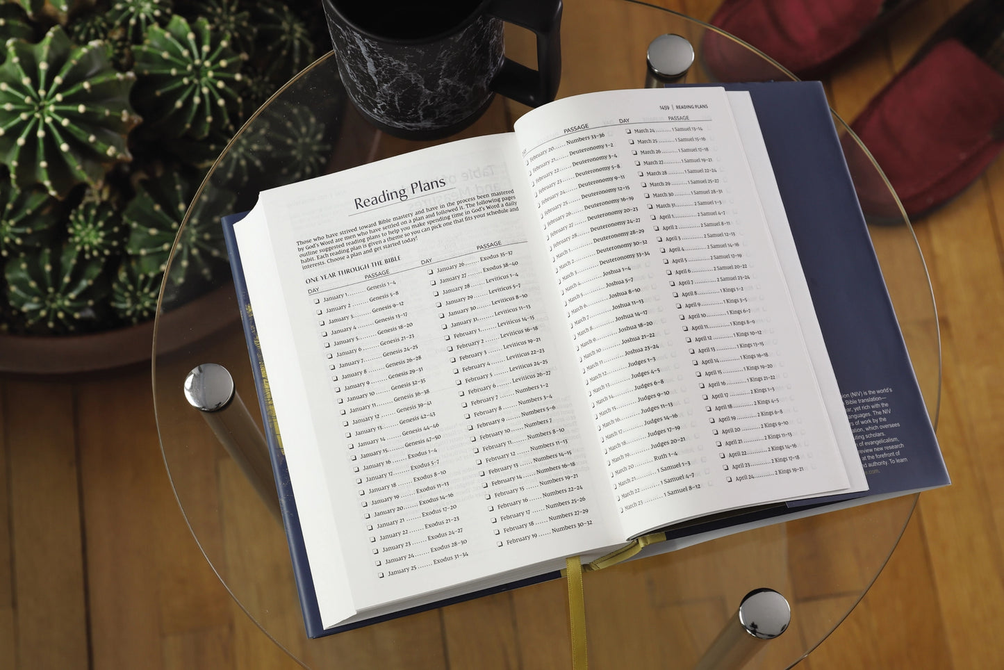 Men's Hardcover NIV Devotional Bible