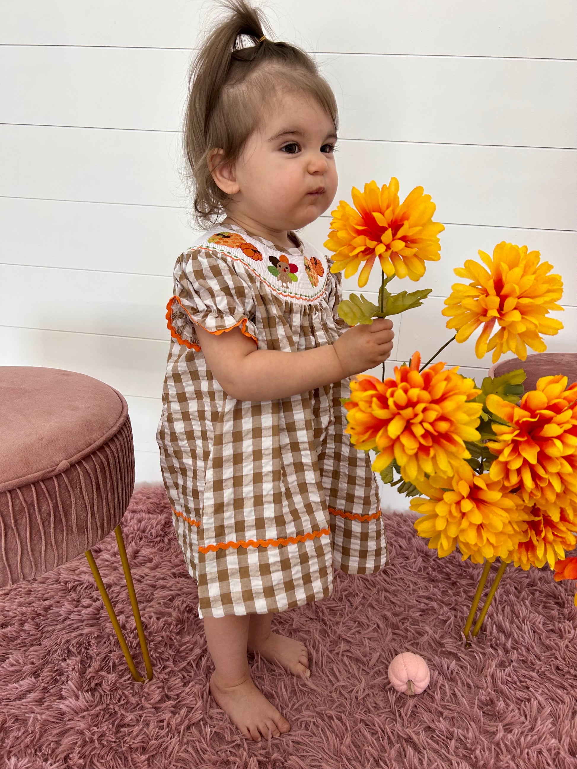 Brown Gingham Pumpkin & Turkey Dress 3-6 months Brown Gingham Pumpkin & Turkey Dress 3-6 months