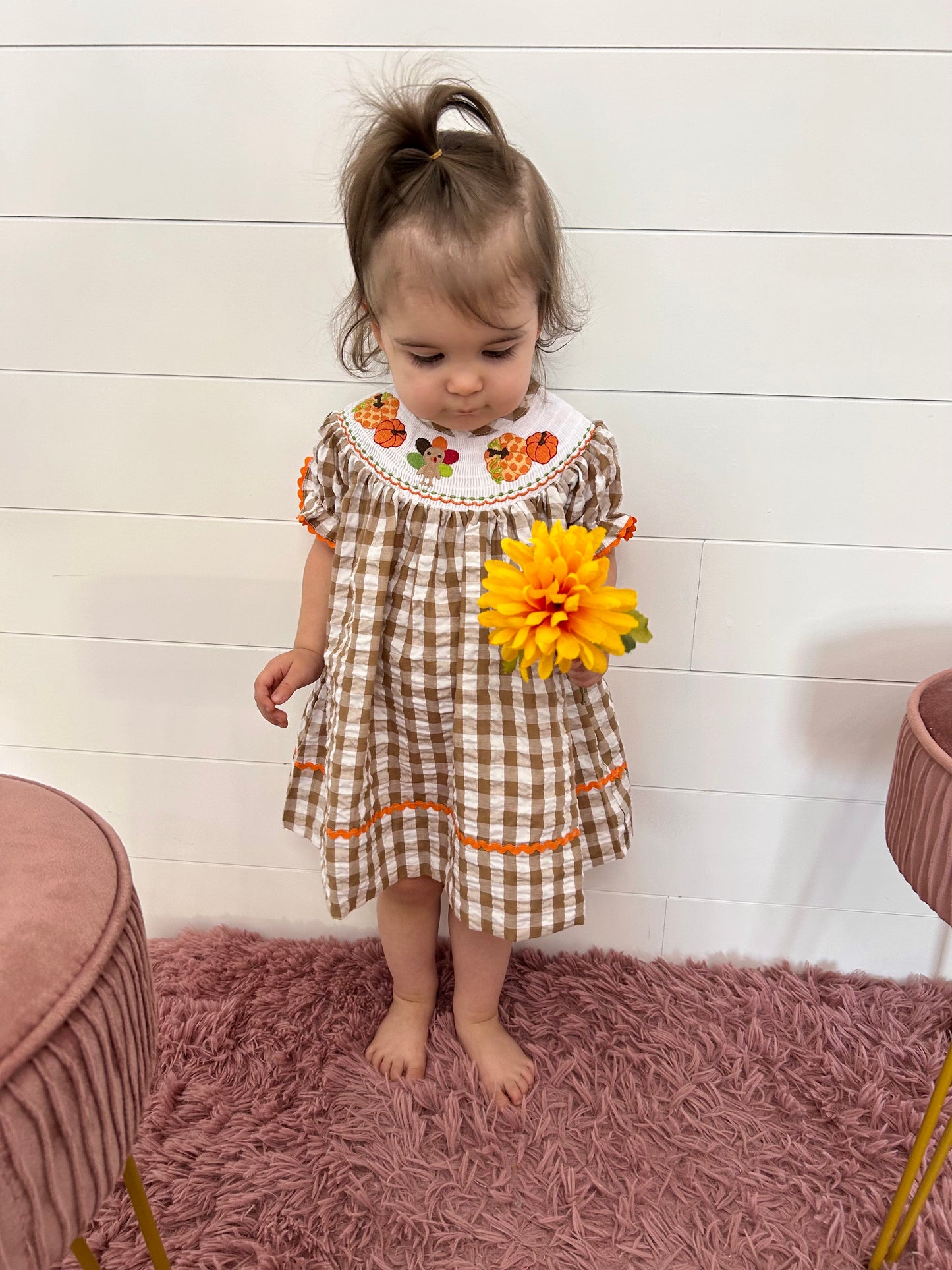 Brown Gingham Pumpkin & Turkey Dress