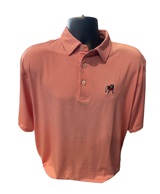 Standing Dawg Loblolly Stripe Polo - Red/White