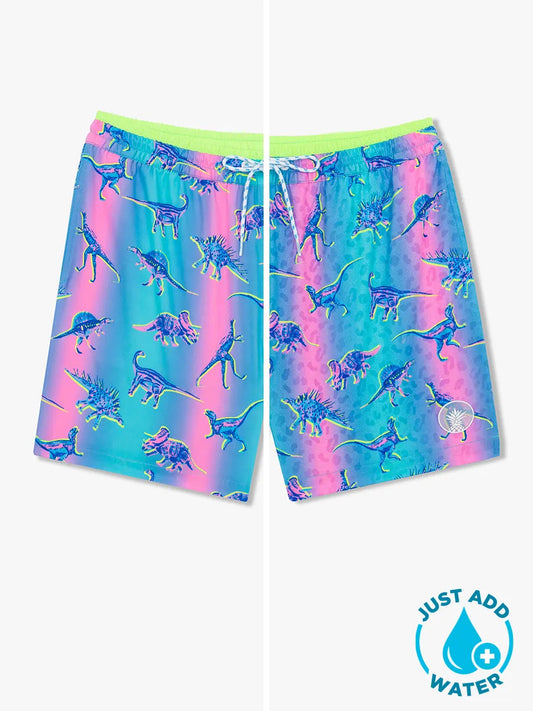 Youth The Lil Dino Delights Magic Swim Trunk