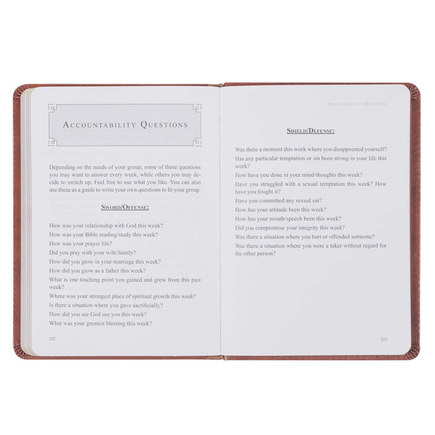 The Sword and Shield | Robert Noland